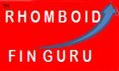 Rhomboid Finguru Private Limited