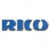 Rico Aluminium And Ferrous Auto Components Limited