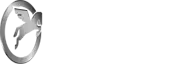 Romil Creation Private Limited
