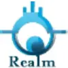 Realm Media Solutions Private Limited