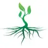 Roots Softech Private Limited