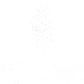 Sacheerome Advance Technologies Private Limited