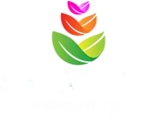 Salvina Infracon Private Limited