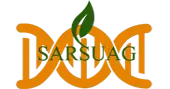 Sarsuag Discovery Private Limited