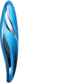 Sarthi Digital Software Solutions Private Limited