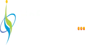 Sassy Infotech Private Limited