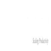 Scalavity Digital Llp