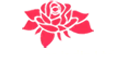 Schifflies India Limited