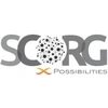 Scorg International Consulting Private Limited