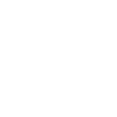Scorpion Automotive Asia Private Limited