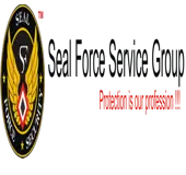 Seal Force Security Agency And Allied Services Private Limited