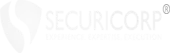 Securicorp Systems Private Limited