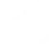 Sekhi Services Llp