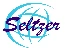 Seltzer Engineering Services Private Limited