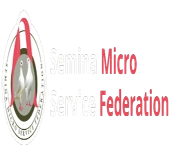 Semina Micro Service Federation
