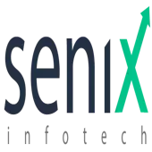 Senix Infotech Private Limited