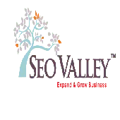 Seovalley Solutions Private Limited
