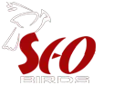 Seo Birds Marketing Private Limited