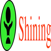 Shining Consulting Private Limited