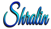 SHRALIN CONSULTING SERVICES LLP image