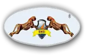 Shreenidhi Electricals India Private Limited