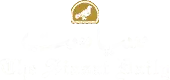Siasat Technologies Limited