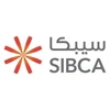 Sibca Electronics Private Limited image