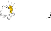Silver Linings Synergies Private Limited