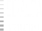 Sinaloa International Llp