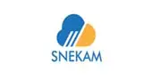 Snekam Infotech And Consultants Private Limited