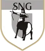 Sng Security Services Private Limited