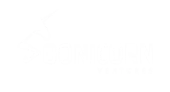 Soonicorn Ventures Private Limited