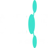 Spazeone Solutions Private Limited