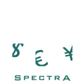 Spectra Forex Private Limited