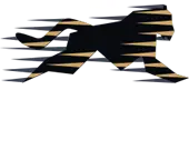 Speedglobal Telecom Network Private Limited