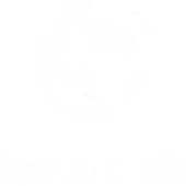 Speedobits Internet Private Limited