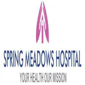 Spring Meadows Hospital Private Limited