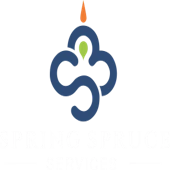 Spring Spruce Services Private Limited