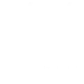 Srs Global Technologies Private Limited