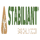 Stabiliant Precision Positioning Private Limited