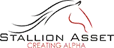 Stallion Asset Private Limited
