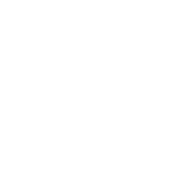 Strategic Decisions Management Consultants Private Limited