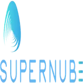 Super Nube It Services Private Limited