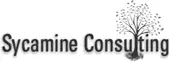 Sycamine Consulting Private Limited