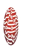 Synergy Circuits Private Limited