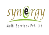 Synergy Multiservices Private Limited