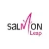 Salmon Leap Associates India Private Limited