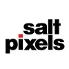 Salt Pixels Private Limited