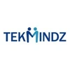 Samin Tekmindz India Private Limited