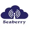 Seaberry Tecsolutions Private Limited